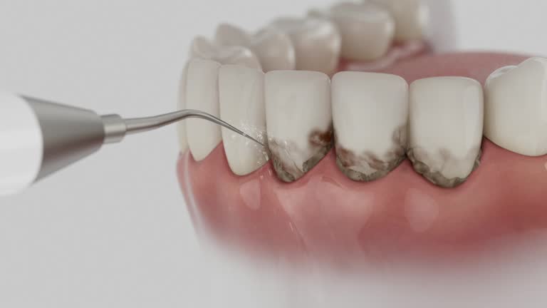 Reliable Dental contractor in Meadville, PA by Dentist Open Now